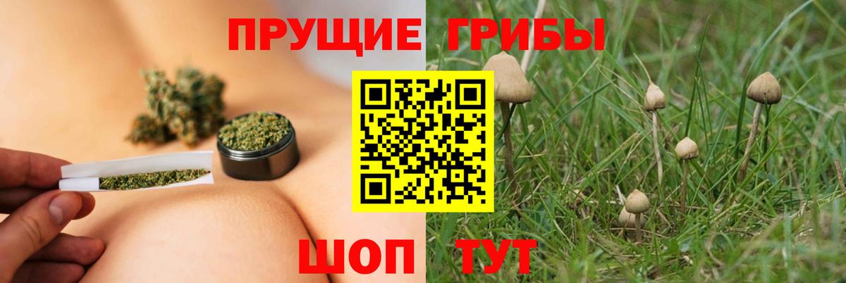 Галлюциногенные грибы GOLDEN TEACHER Белореченск